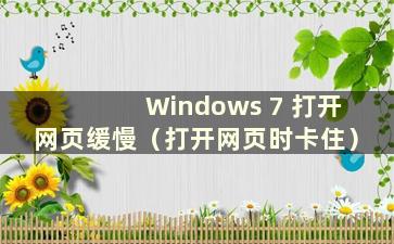 Windows 7 打开网页缓慢（打开网页时卡住）